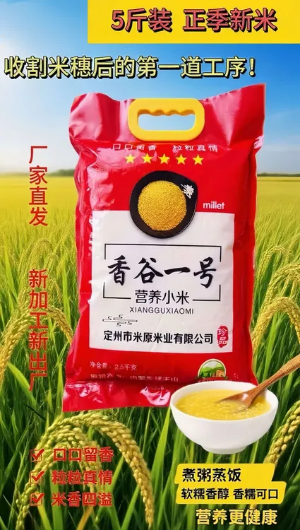 【定州特产-黄小米】-当季新米-健康养胃现磨营养米天然