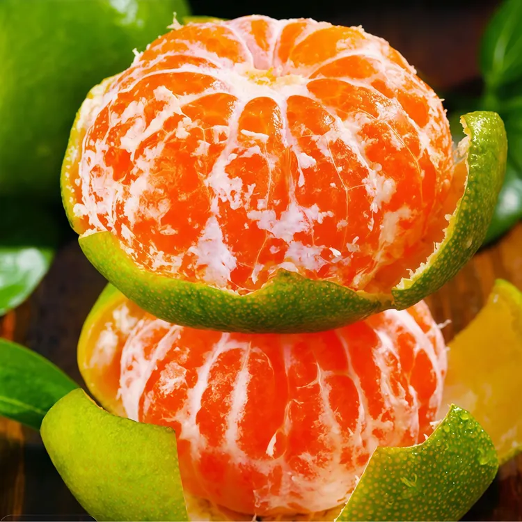 【助力主播】湖北宜昌蜜桔无籽鲜甜多汁橘子新鲜蜜橘当季水果桔子