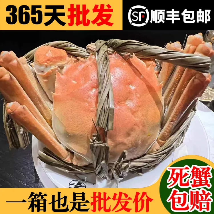 【活蟹母蟹】江苏大闸蟹3.8-4.1两母蟹6只装现货鲜活大闸蟹顺丰