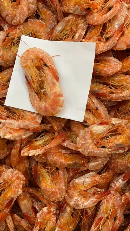 虾干．中对虾．白虾．干．淡．甜．．鲜甜美味500克