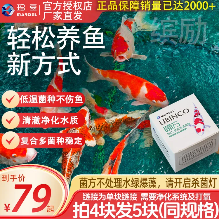 玛豆菌方硝化细菌锦鲤鱼池硝化菌养水鱼池鱼缸净化菌砖【新奇宠物】