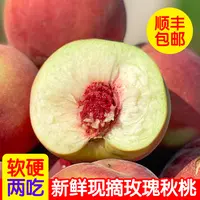 烟台玫瑰秋桃甜蜜脆软两吃桃子水果新鲜毛蜜桃油冬桃甜4斤