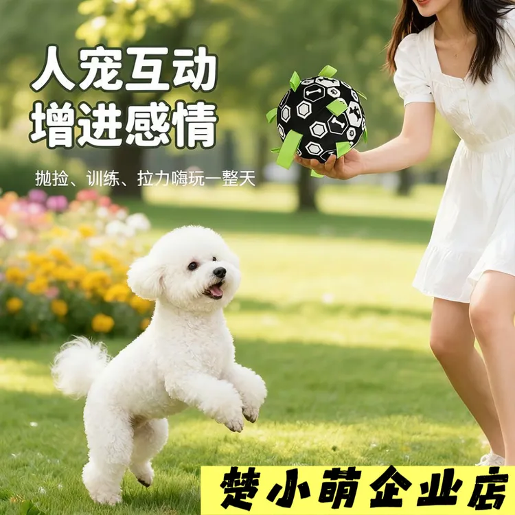 圣诞狗狗玩具狗足球户外人宠互动解闷球柯基金毛泰迪宠物用品