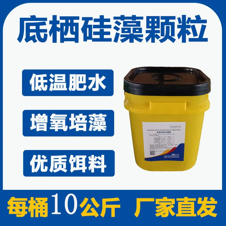 底栖硅藻改底颗粒海参天然饵料培养硅藻改底海参晴雨两用