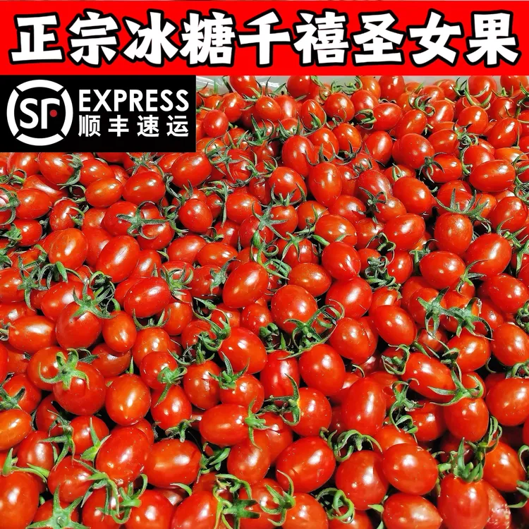 【顺丰包邮】冰糖千禧小番茄圣女果酸甜爆汁应季水果产地现摘现发