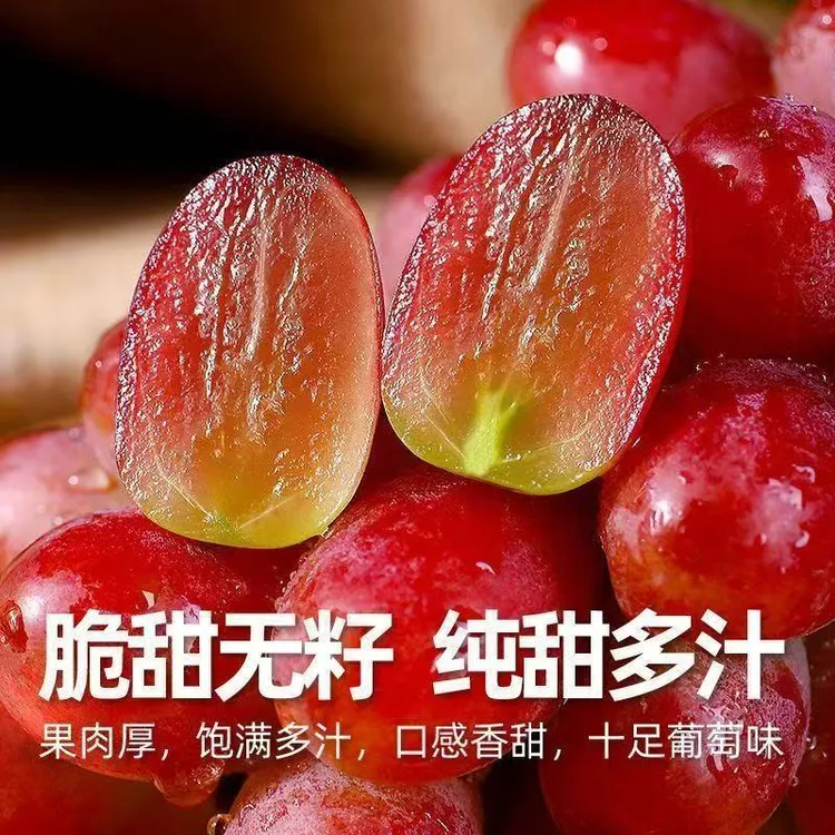 【顺丰包邮】山西运城无籽葡萄克伦生无籽红提玻璃脆葡萄红宝石葡萄
