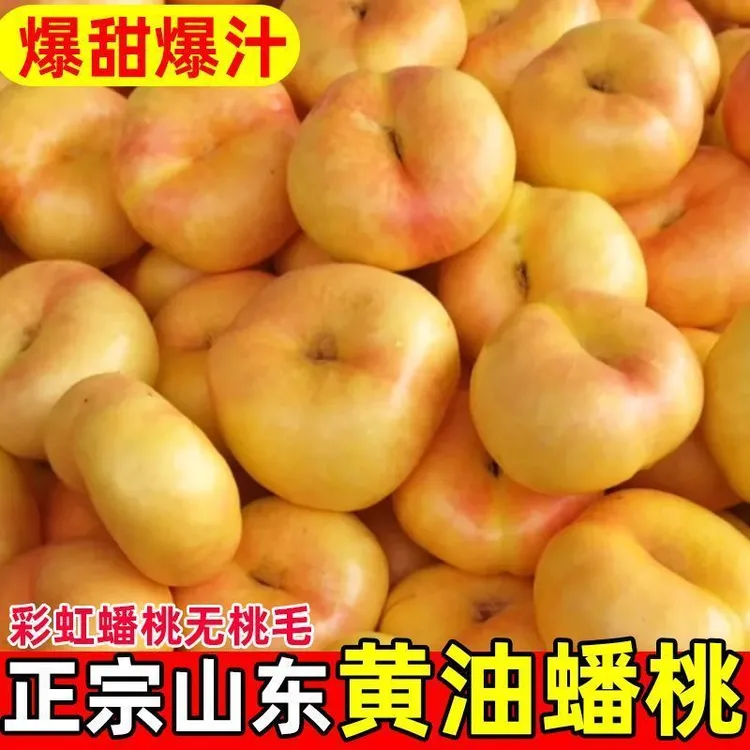 山东蒙阴油蟠桃现摘现发甜嫩多汁当季新鲜水果
