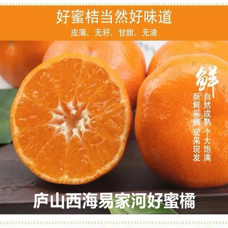 正宗庐山西海易家河蜜桔子江西无核当季新鲜水果整箱10斤非涌泉橘