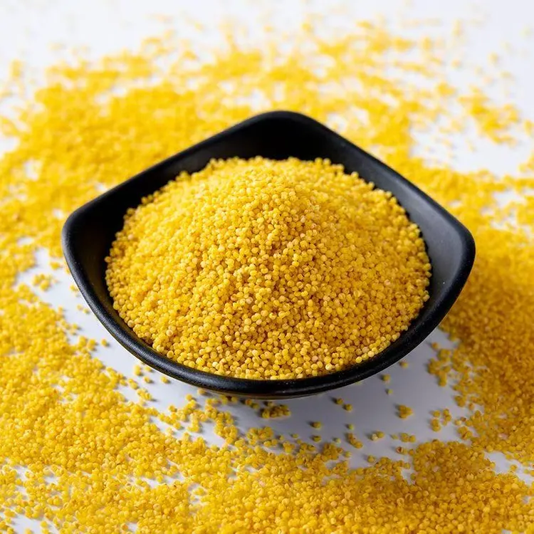 山西黄小米5斤装 原产地直供 米油丰富 软糯甘甜