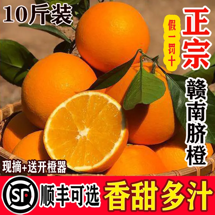 【明哥专属】江西赣州产地直发礼盒正宗赣南橙子新鲜应季水果
