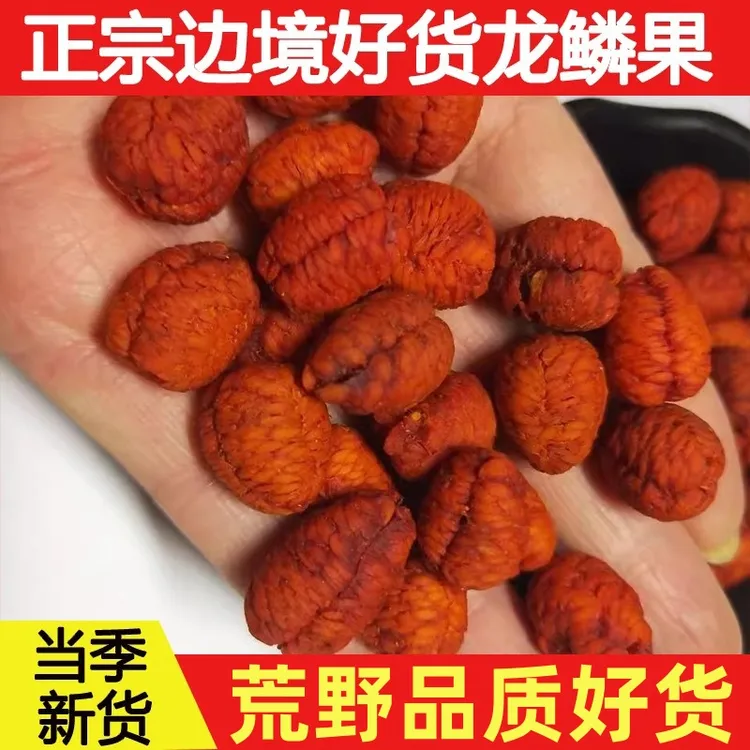 正品龙鳞果新货精选高山好货正宗可可西里龙鳞果参泡酒泡水无硫