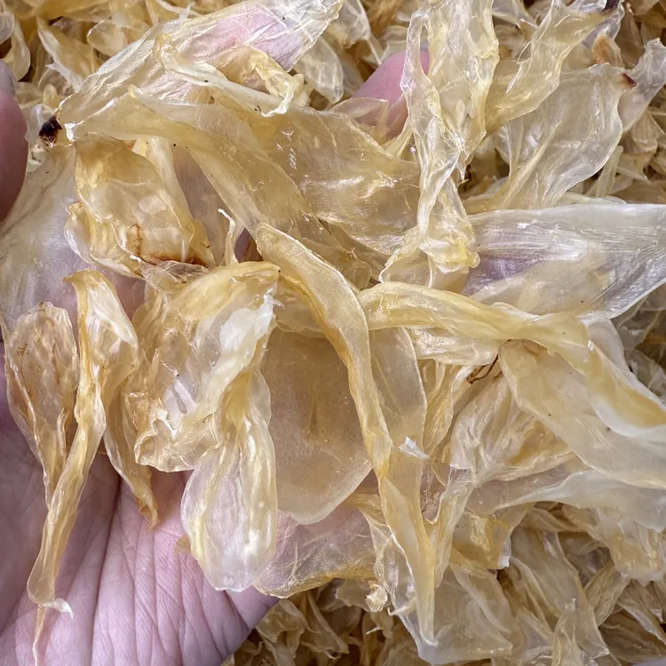 深海野生小竹叶胶清水干货