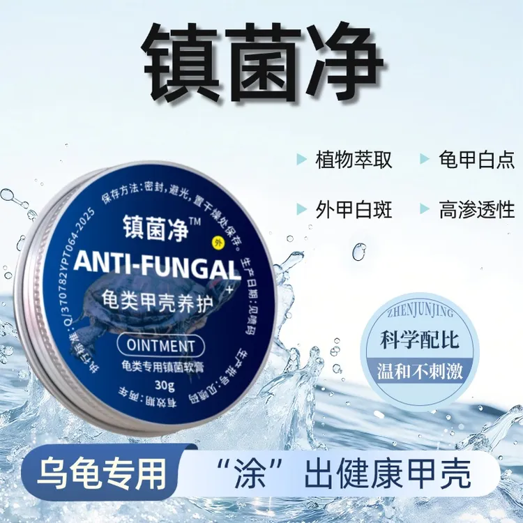 镇菌净乌龟龟甲问题龟壳龟背发白背甲白点白斑镇菌净