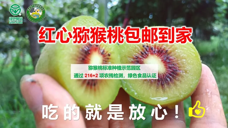 四川红心猕猴【绿色食品】香甜安全细腻多汁包邮奇异果当季鲜果