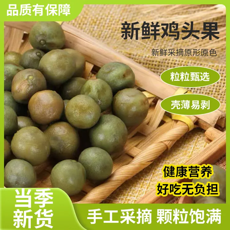 新鲜鸡头果2025年芡实信阳固始鸡头米新鲜带壳产地直发鸡头籽