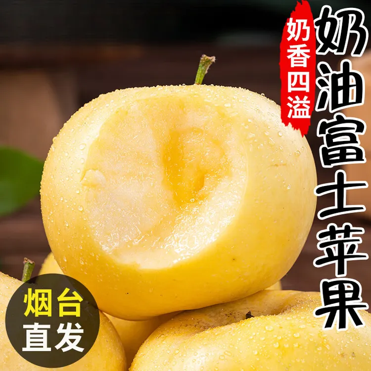 正宗黄金奶油富士苹果山东烟台新鲜水果苹果当季果园现摘新鲜发货