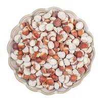 【小凯公益助农】芡实