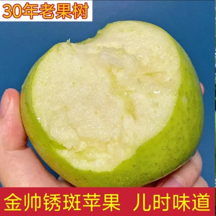 金帅老品种苹果当季新鲜脆甜，现摘产地直发