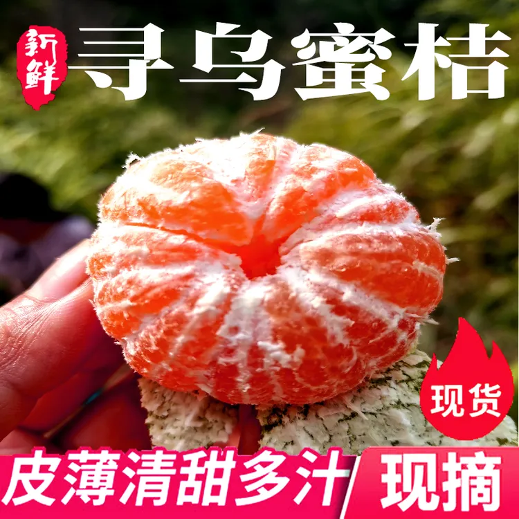【顺丰上门】江西赣南寻乌蜜桔青皮蜜桔现摘无籽新鲜应季水果