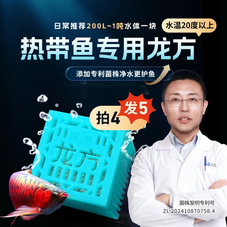 玛豆龙方鱼缸专用缓释硝化活菌水质净化观赏鱼好氧反硝化菌