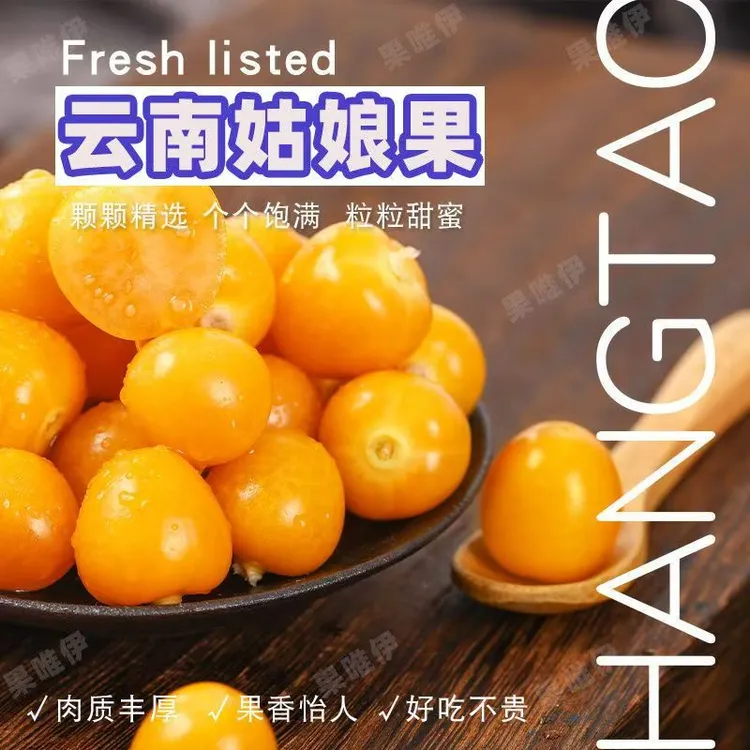 【刚采摘】头茬云南高山纯甜姑娘果新鲜速发清甜多汁当季稀有水果