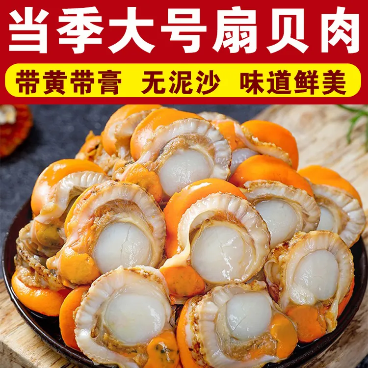 【到手五斤】新鲜带膏带黄扇贝肉无泥沙 顺丰包邮