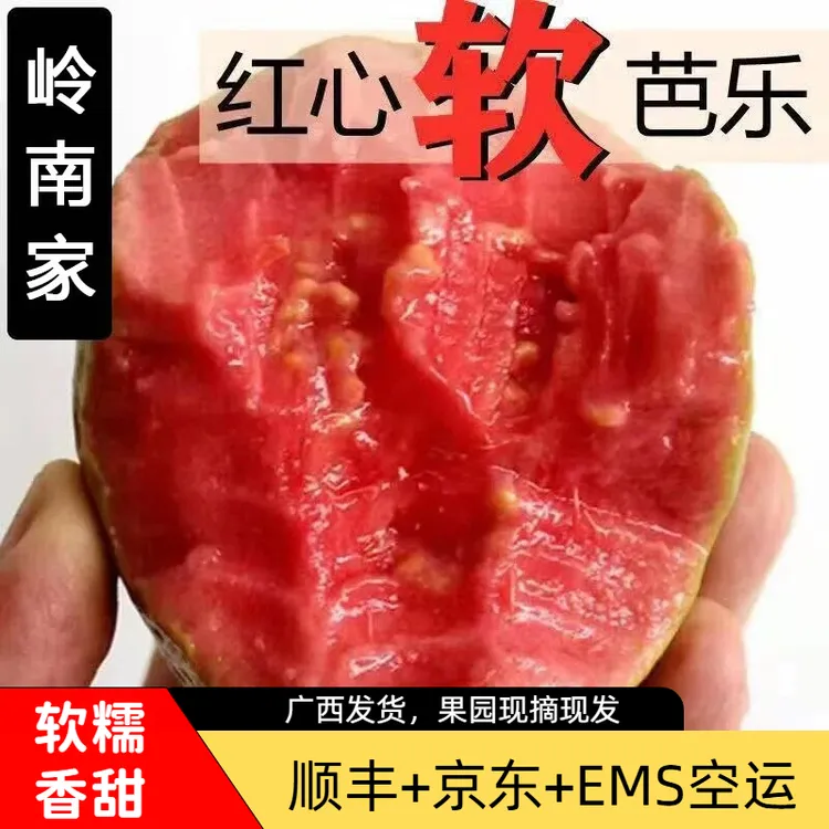 【香软大果】广西软心红心番石榴新鲜水果红心软芭乐净重3/5斤