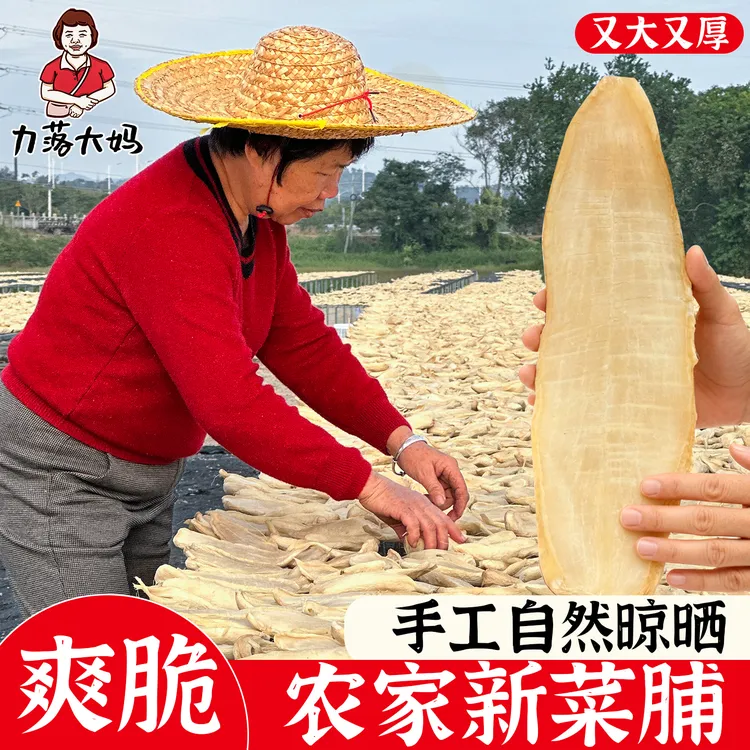 潮汕大妈新菜脯萝卜干农家自制菜脯咸甜口味爽脆早餐下饭杂咸小菜