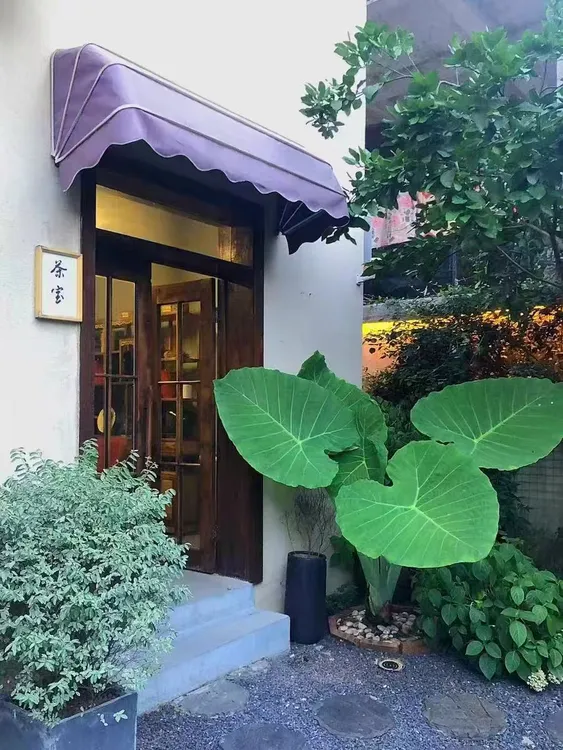 泰国魔法象耳芋，巨型叶片震撼全场，家具净化首选芋头绿植