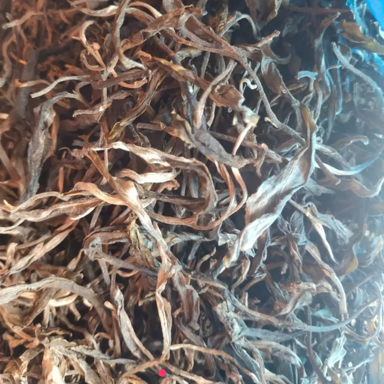 比老班章还强，雷达山单株50克散茶试喝价