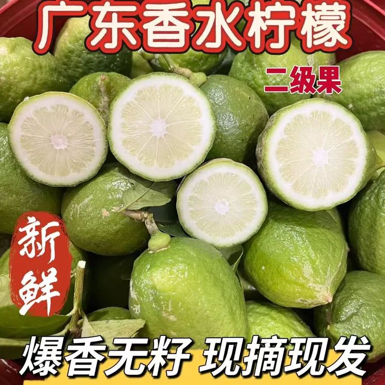 广东香水柠檬二级正宗新鲜无籽爆香采摘现货现发水果批发奶茶商用