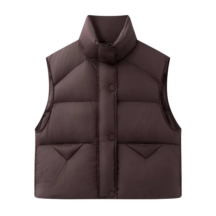 5969{艾}2025年女装冬新款简约休闲立领羽绒服马甲女高冷酷飒女装