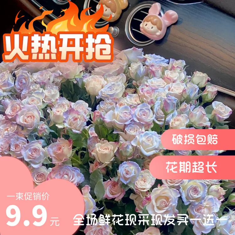 碎冰蓝多种玫瑰组合鲜花家用客厅装饰基地直发