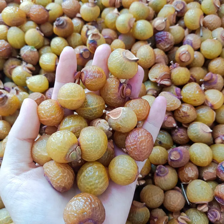 无患子原果带皮带籽可做串做皂佛珠野生原果2025年新果