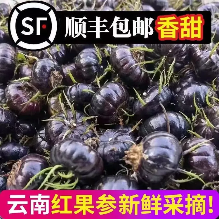 【顺丰包邮】云南高原新鲜红果参算盘果蜘蛛果现摘现发脆甜爆汁水果