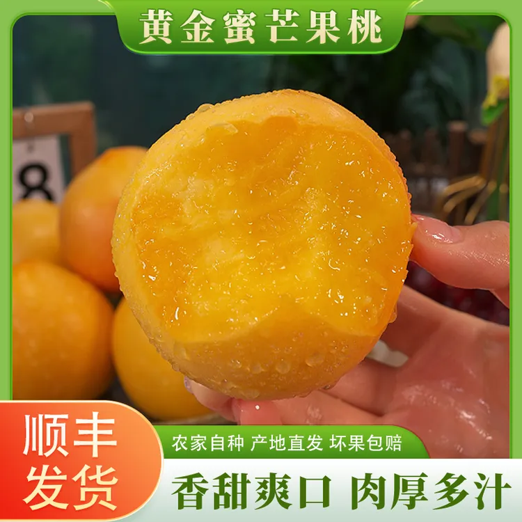 【顺丰】辽宁黄金蜜芒果桃时令桃子新鲜肉厚多汁果园直发3斤起