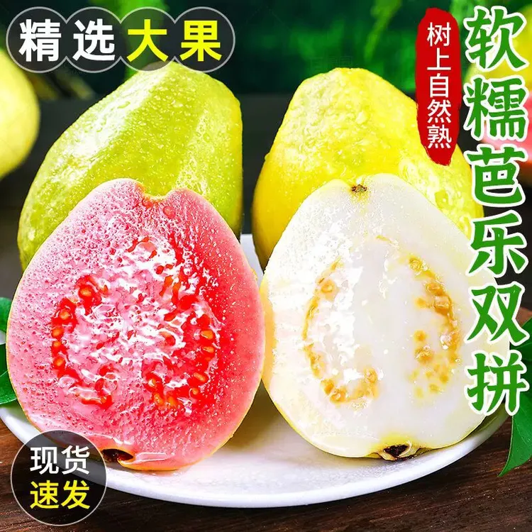 【直播专属】奶油软芭乐红心白心软糯香甜低糖高VC新鲜水果