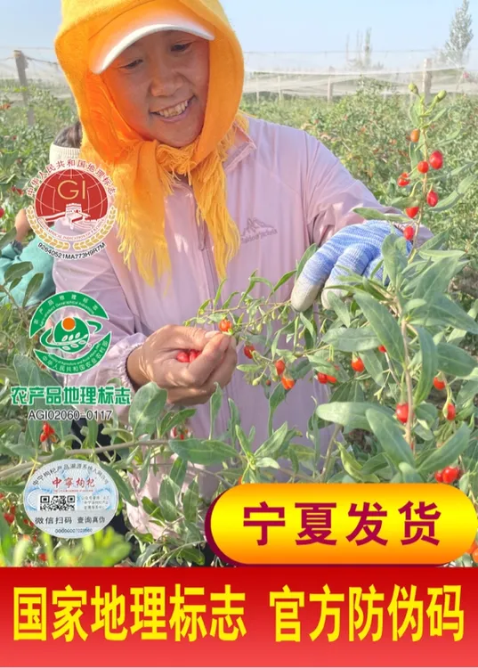 中宁枸杞无熏染无科技颗粒饱满新货宁夏枸杞