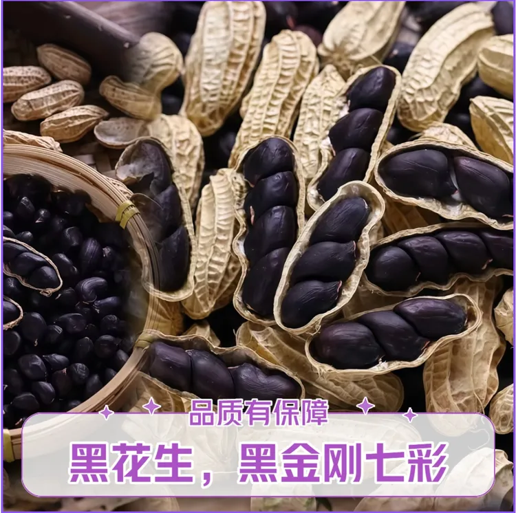 黑金刚花生富硒纯黑花生新货上市带壳坚果零食送礼