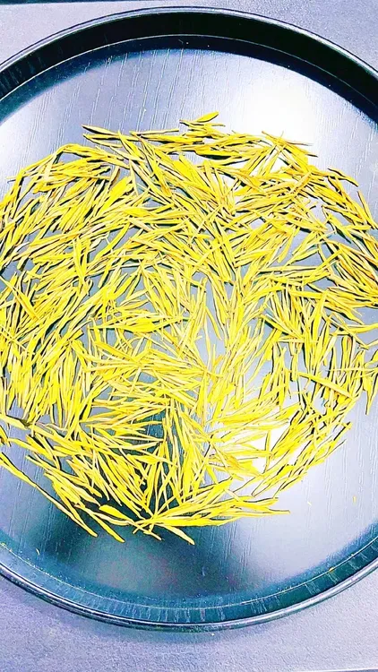 2025年明前黄金芽【安吉原产地】 浓香耐泡 豆香 奶香 250克/500克