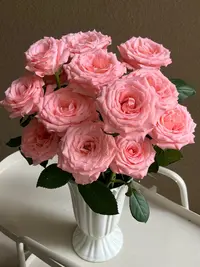 【20枝 粉玫瑰 】任意拍两单升级冷链或空运