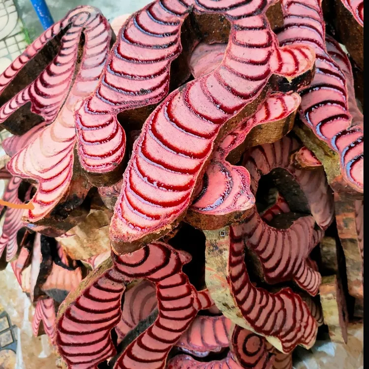 广西正野生新鲜湿货千年鸡血藤