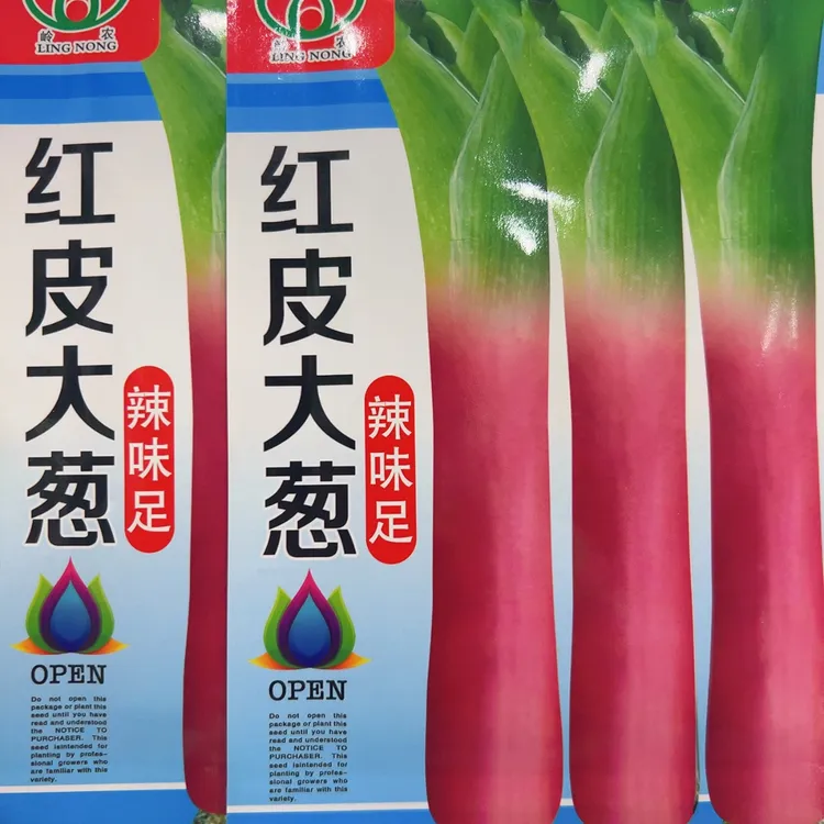 发2袋 红皮大葱种子