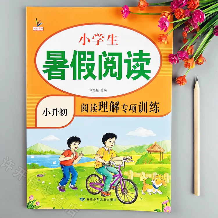 小升初暑假阅读理解专项训练语文小升初阅读理解题暑假阅读训练