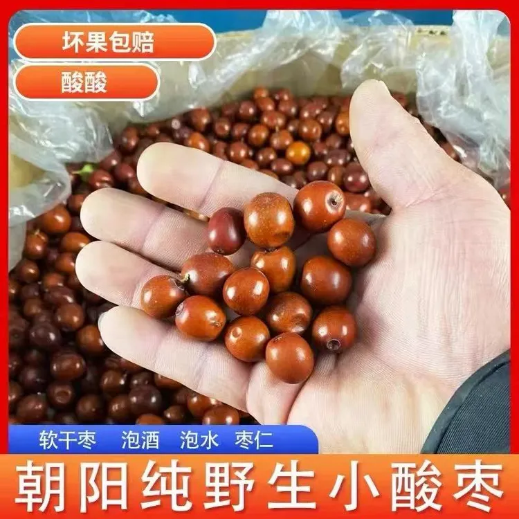 辽宁东北朝阳野生山枣8酸1分甜小酸枣孕妇解馋新鲜应急水果包邮