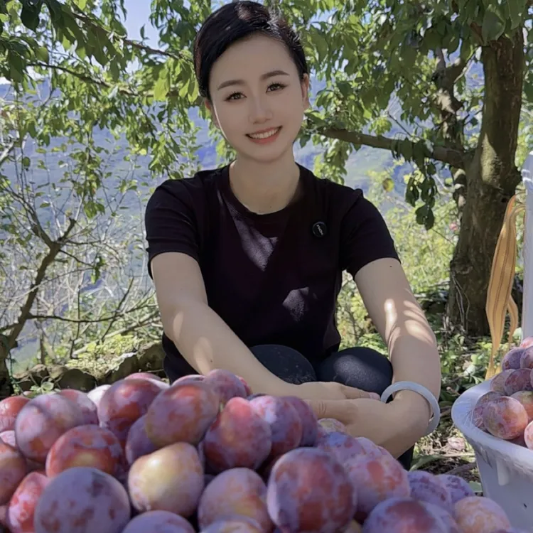 【京东包邮】四川脆红李子高山脆甜脱骨李当季鲜果农家自种现摘现发
