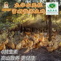【秀兰鲜季】地理标志保护产品 无抗生素富硒散养土鸡(顺丰冷链)