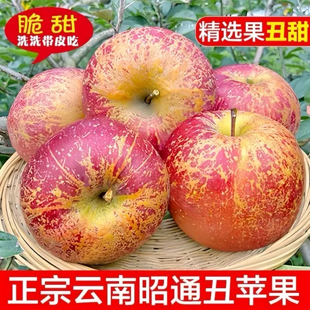 正宗云南昭通冰糖心丑苹果脆甜多汁好吃当季农产品新鲜水果2斤起