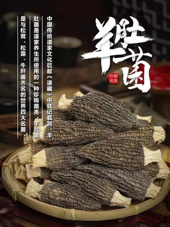 云南高山羊肚菌干货羊肚菌煲汤食材羊肚菌食用菌汤包