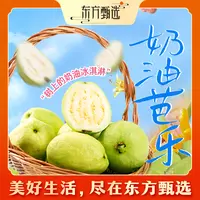 东方甄选自营奶油芭乐白心芭乐脆软两吃新鲜应季水果整箱坏果包赔